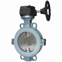 蝸輪對(duì)夾半襯氟蝶閥